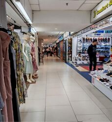 Lucky Plaza (D9), Shop House #559253441